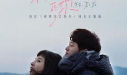 被我弄丢的你,追寻被遗忘的你