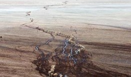 大迁徙,人类文明的迁徙史诗