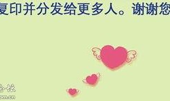 更好的生活,追求高品质生活的探索与实践