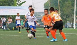 我的足球教练,揭秘我的足球教练