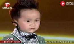 天才儿童 第一季,智慧火花，少年英才的璀璨舞台