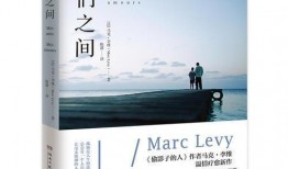 我们之间,人工智能与人类智慧的交融之旅