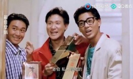 最佳女婿,塑造美满家庭的秘密法则