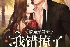 开局离婚，她竟是豪门继承人,从离婚到爱情的华丽转身