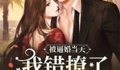 开局离婚，她竟是豪门继承人,从离婚到爱情的华丽转身