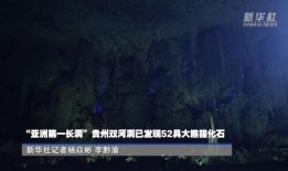 奈何奈何不逢君,一段错过的缘