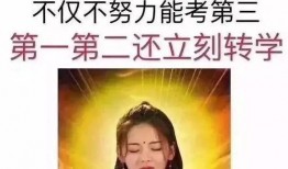 锦鲤小奶团带领全家逆天改命,全家逆天改命的传奇之旅