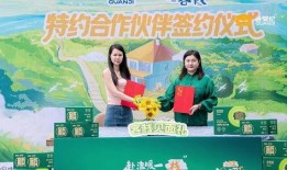 温暖的客栈·元气篇,元气满满的生活篇章