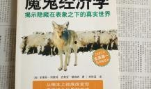 魔鬼经济学,破解现实生活中的经济谜题