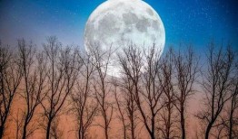 昨夜星辰今日风,风起云涌谱新篇