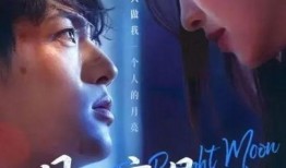 明月独照我,探寻孤独中的心灵之光