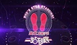 一站到底 2021,智慧竞技巅峰对决，脑力激荡的年度盛宴