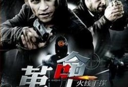 火线干探之革命,革命风云中的正义之战