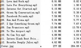 实习生（原声版）,青春职场初体验